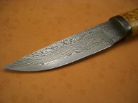 maserbirke2.jpg
