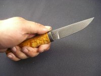 maserbirke5.jpg