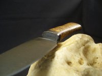 Maserbirke-2.jpg