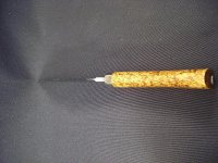 maserbirke-3.jpg