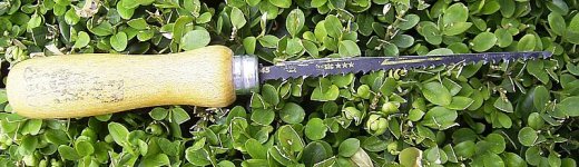 RIMG3520 klein.jpg