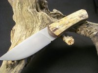 CIMG8223.jpg