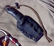BlackTigerw01b.jpg