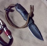 BlackTiger01b.jpg