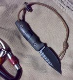 BlackTiger00b.jpg