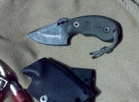 WolfPup00.jpg