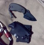 WolfPup01b.jpg