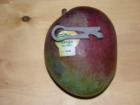MAngo Tool.JPG