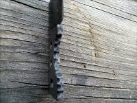 Einfingersau 012.jpg