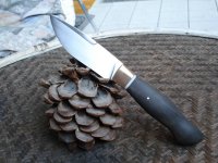 Bild 273.jpg