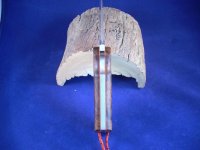 DSCN1470 (Medium).JPG