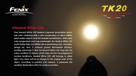 TK20-1.jpg