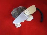 IMG_3572 (Medium).JPG
