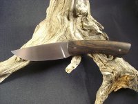 CIMG7490.jpg