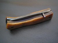 IMG_0420.jpg