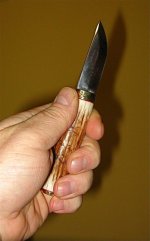 IMG_4216 (498 x 800).jpg