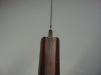 DSC06423.jpg