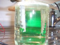 bild3 (Medium).JPG