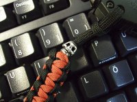 lan_fl_duo2.jpg