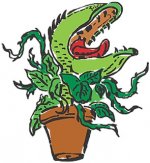 audrey2.jpg