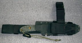 MöhreA7T-klein.jpg