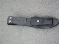 Busse Nb2, klein.JPG