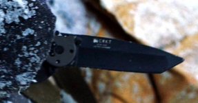 m16.jpg