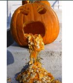 Kürbis 1 (406 x 459).jpg