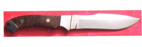 m1.jpg