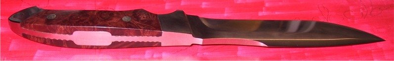 M2.jpg