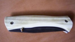 RIMG1078.jpg