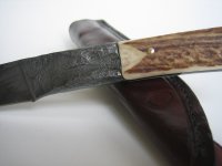 IMG_2229_Bildgröße ändern.jpg