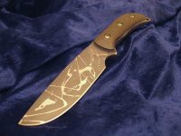 lsa1 (2).jpg