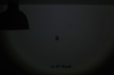 LL P7 flood.JPG
