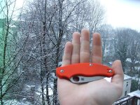 DSCF3996.jpg