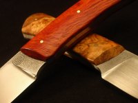 IMG_4350_Bildgröße ändern.JPG