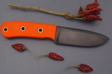 3a_2519 g10_1.jpg