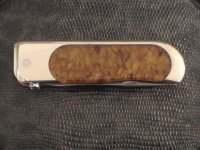 DVC01322.jpg