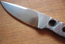 Fixed_Kiku_Sceleton_K_IMG_9392_C.jpg