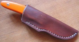 Fixed_Ball_Skinner_Scheide_IMG_9372_E.jpg