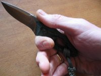 Fixed_Kiku_Wakaba_Hand_IMG_9364_A.jpg