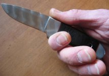 Fixed_Schanz_Viper_Hand_IMG_9362_A.jpg