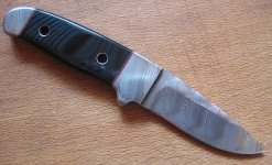 Fixed_Schanz_Viper_R_IMG_9379_B.jpg