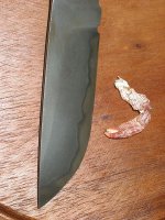 IMG_0052.jpg