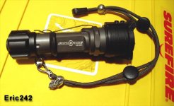 c2-gp.jpg