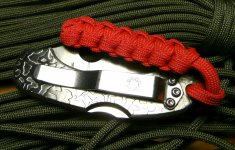 Spyderco Dragonfly Etched mit Lanyard - P1180041_klein.jpg