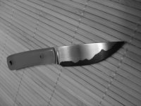 G101.jpg