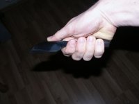 inHand1.jpg