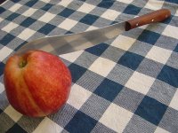 Apfel.jpg