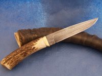 Hirsch2 (800 x 600).jpg